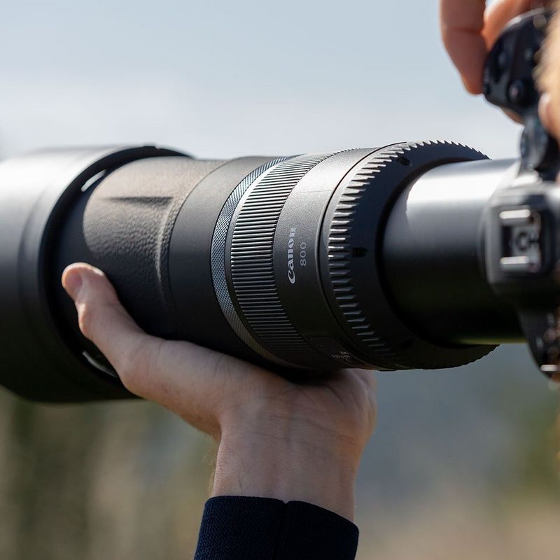 Canon Rf 800mm F11 Is Stm Camera Lenses