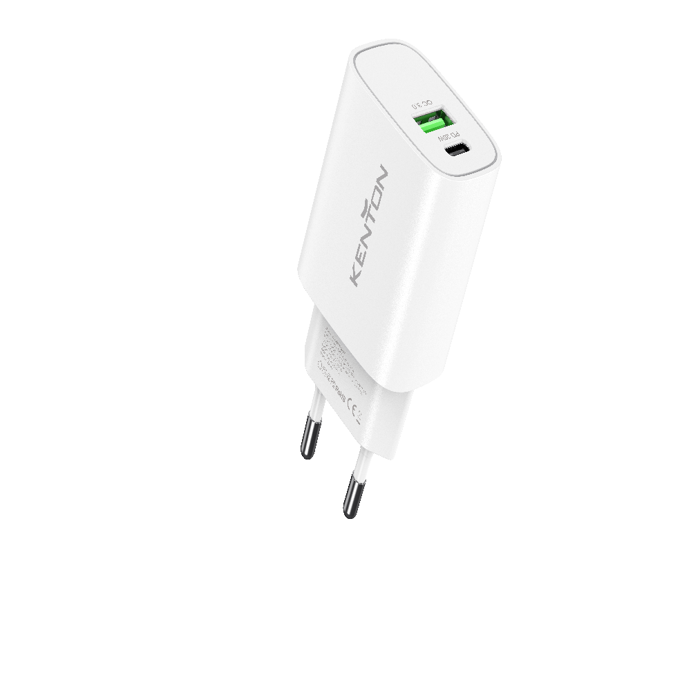 Dual Output USB & Type-C Wall Charger Adapter