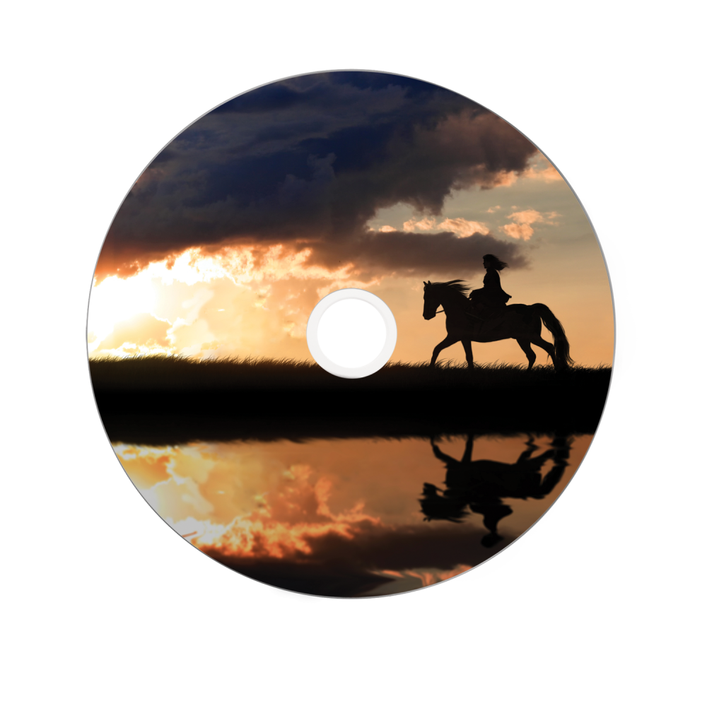 Verbatim Dvd+r 8.5gb 8x D layer Printable 25 Sp
