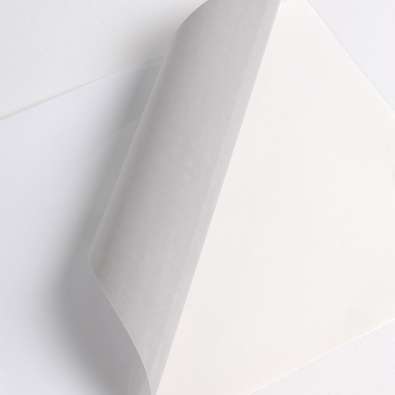 Hexis 3000 Series Monom Gloss 100mic Grey Adh 1370mm X 45m