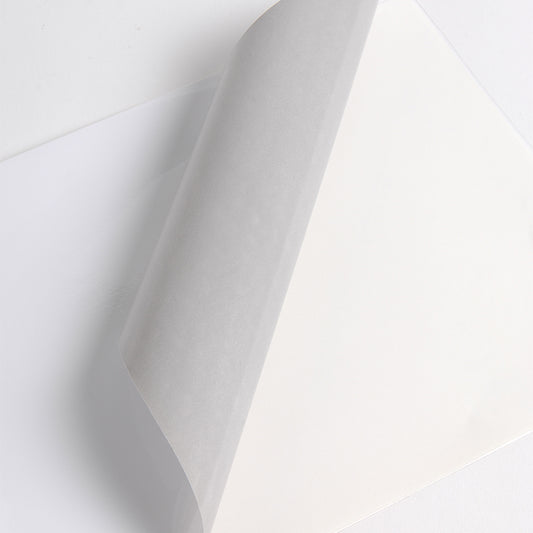 Hexis 3000 Series Monom Gloss 100mic Grey Adh 1370mm X 45m
