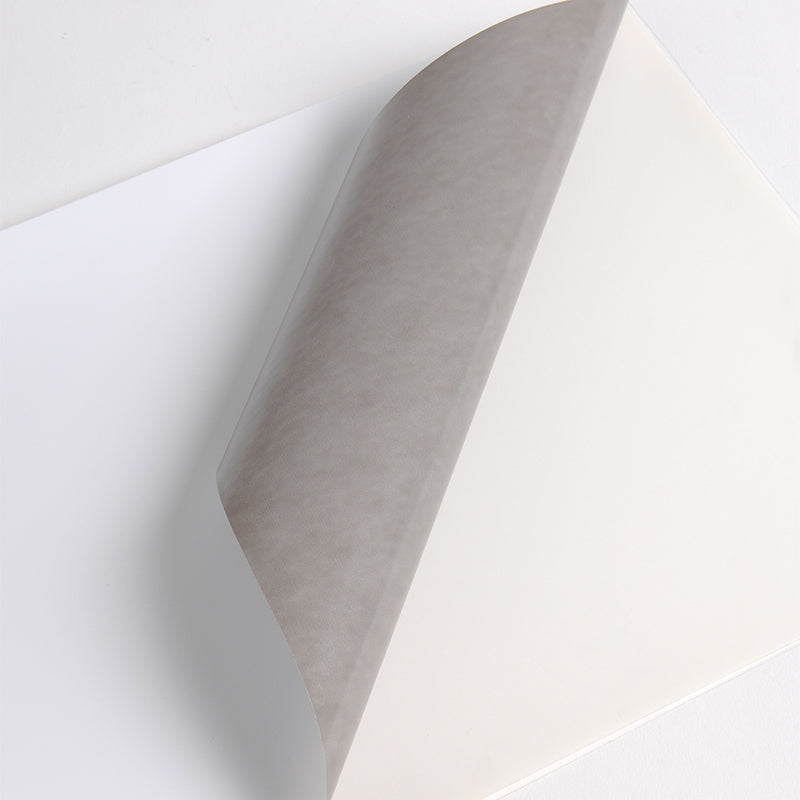 Hexis 3000 Series Monom Gloss 100mic Grey Adh 1600mm X 45m