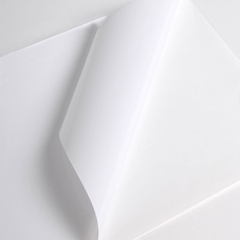 Hexis 3000 Series Monom Gloss 100mic Clear Adh 1600mm X 45m