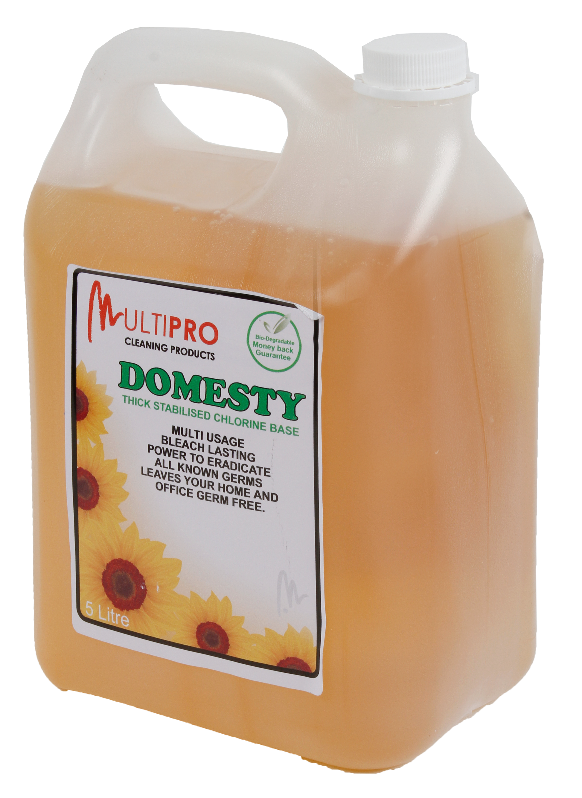 Multipro Domesty 5l