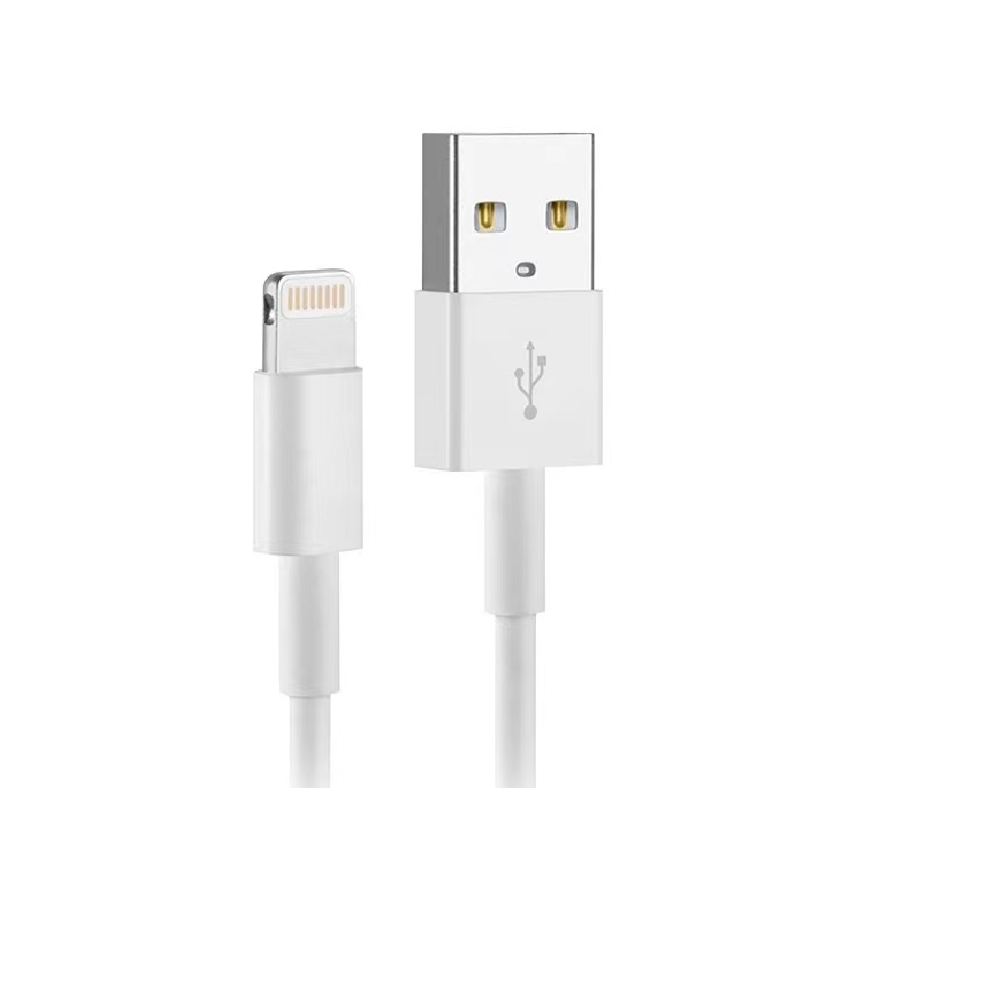 USB to iPhone Cable (1 m)